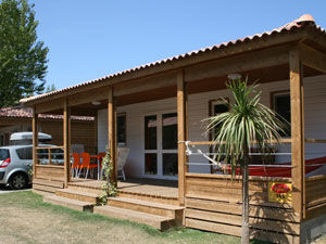 napili